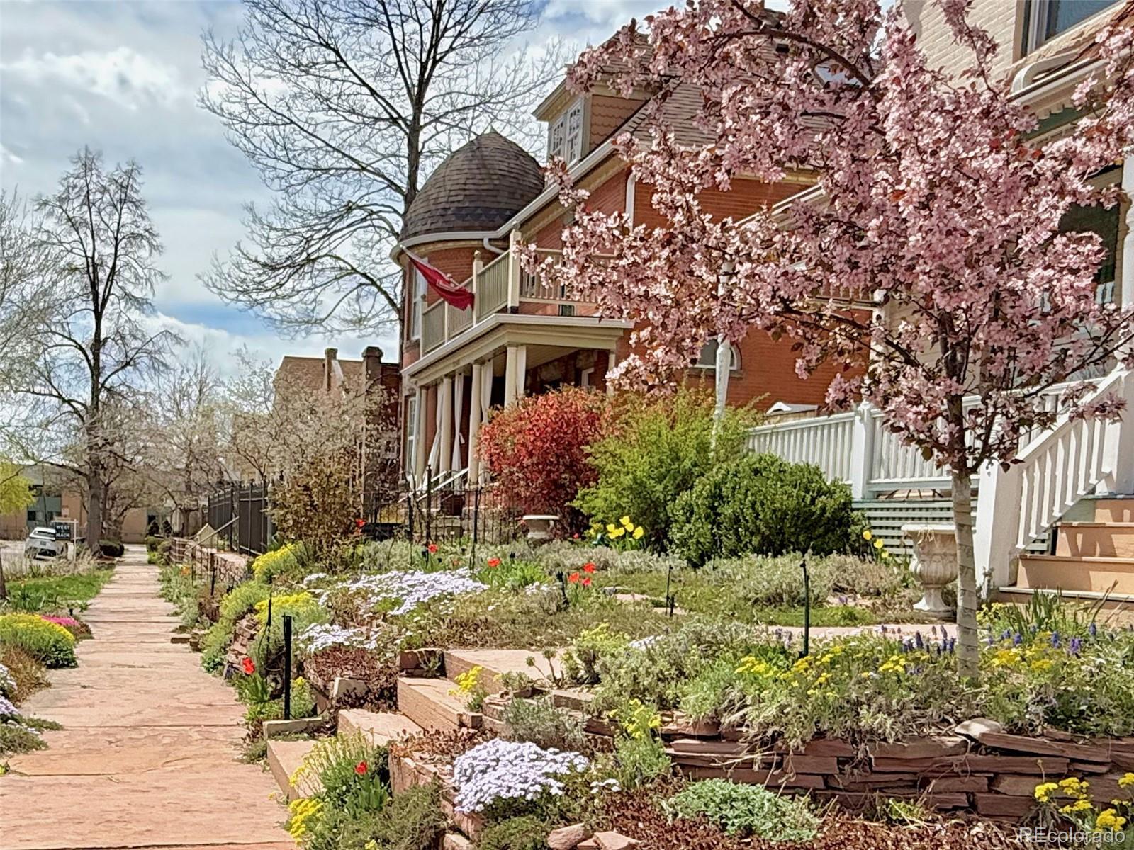 MLS Image #29 for 3337  decatur street,denver, Colorado