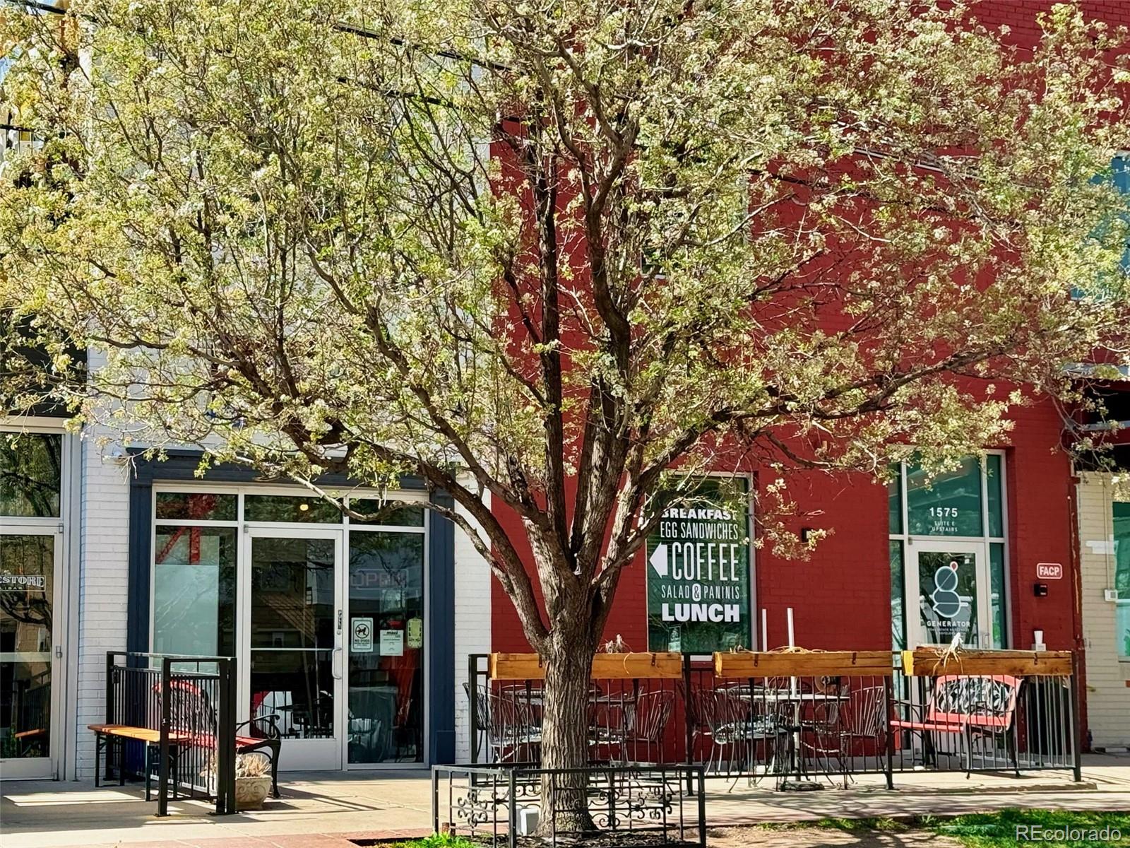 MLS Image #39 for 3337  decatur street,denver, Colorado