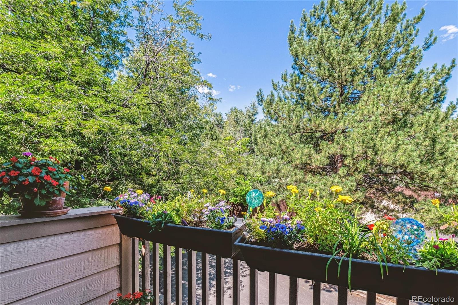 MLS Image #2 for 701  harlan street,lakewood, Colorado