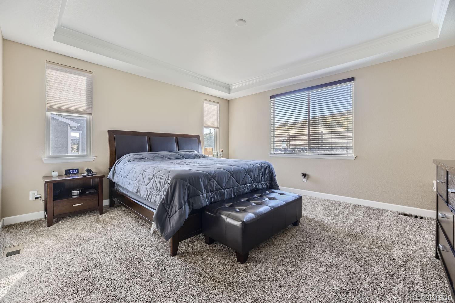 MLS Image #16 for 6673  mentha drive,castle rock, Colorado