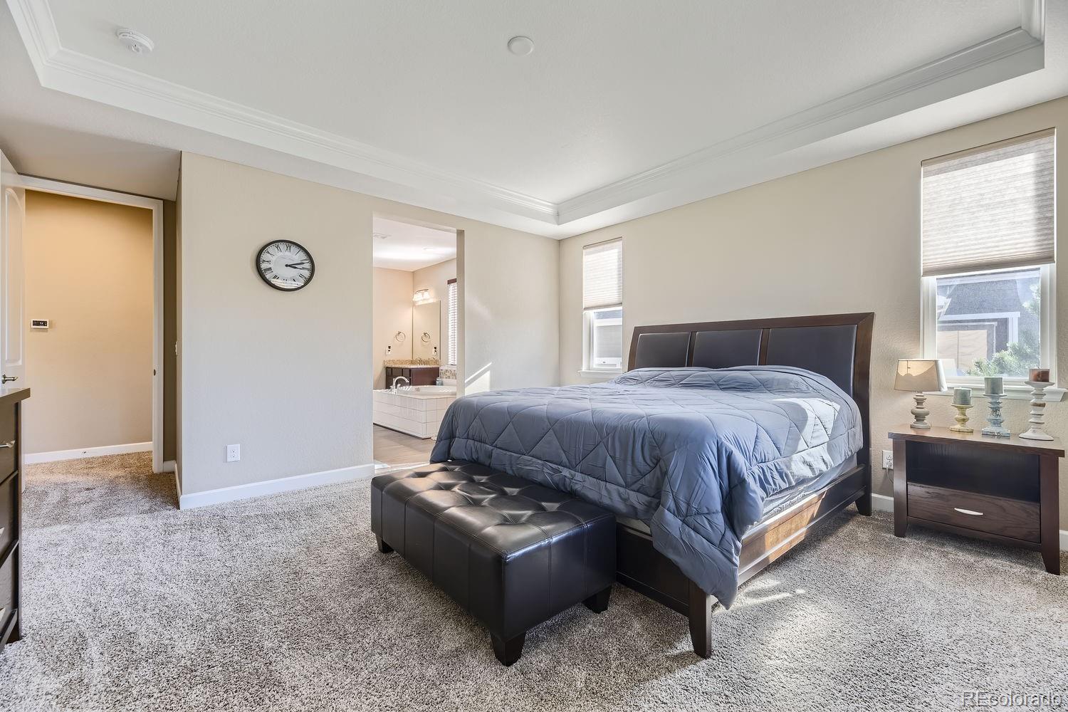 MLS Image #17 for 6673  mentha drive,castle rock, Colorado
