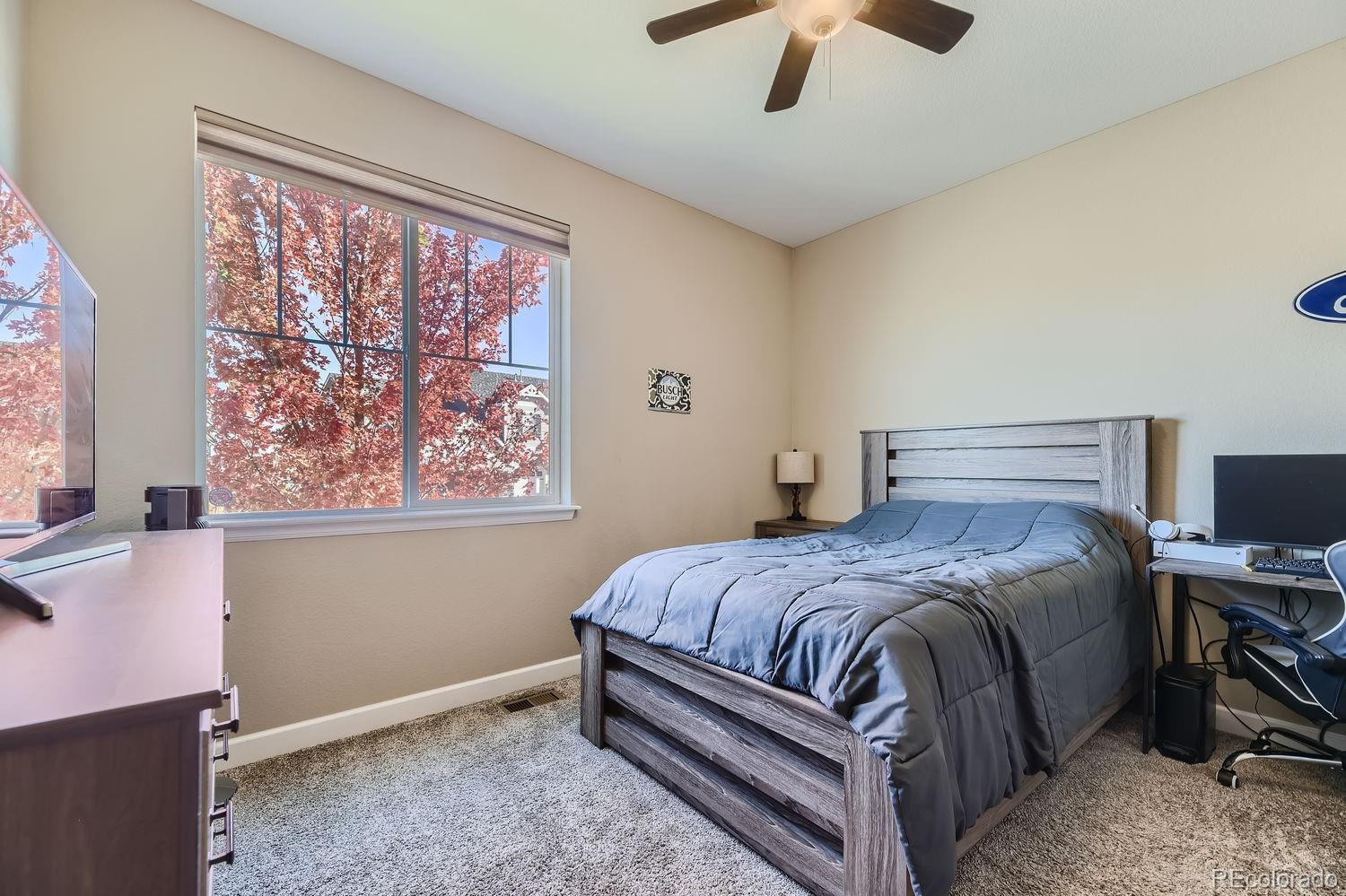 MLS Image #21 for 6673  mentha drive,castle rock, Colorado