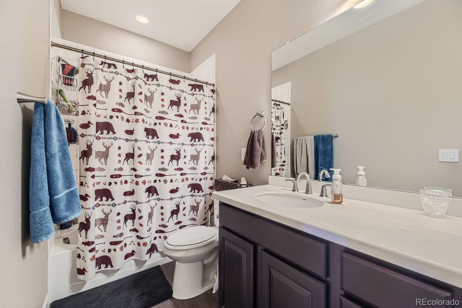 MLS Image #23 for 6673  mentha drive,castle rock, Colorado