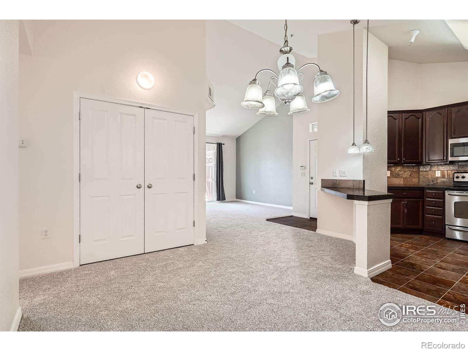 MLS Image #11 for 804  summer hawk drive,longmont, Colorado