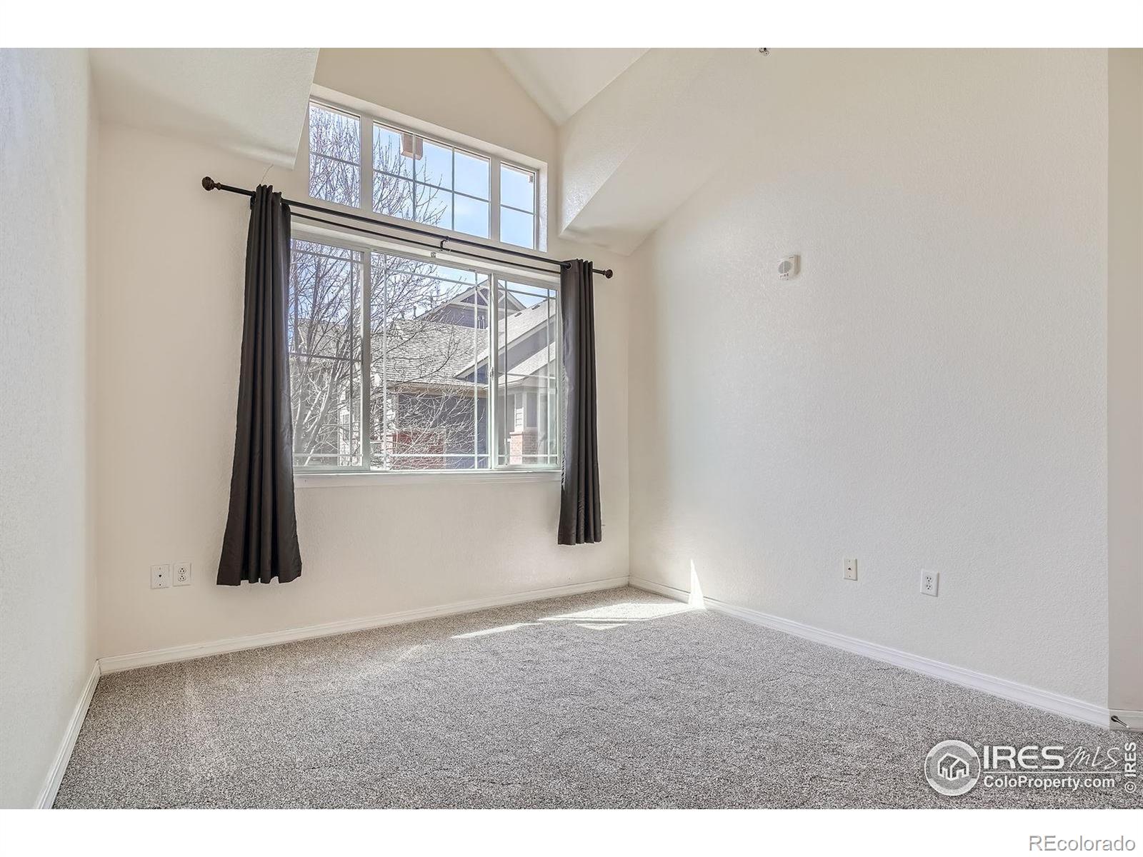 MLS Image #17 for 804  summer hawk drive,longmont, Colorado