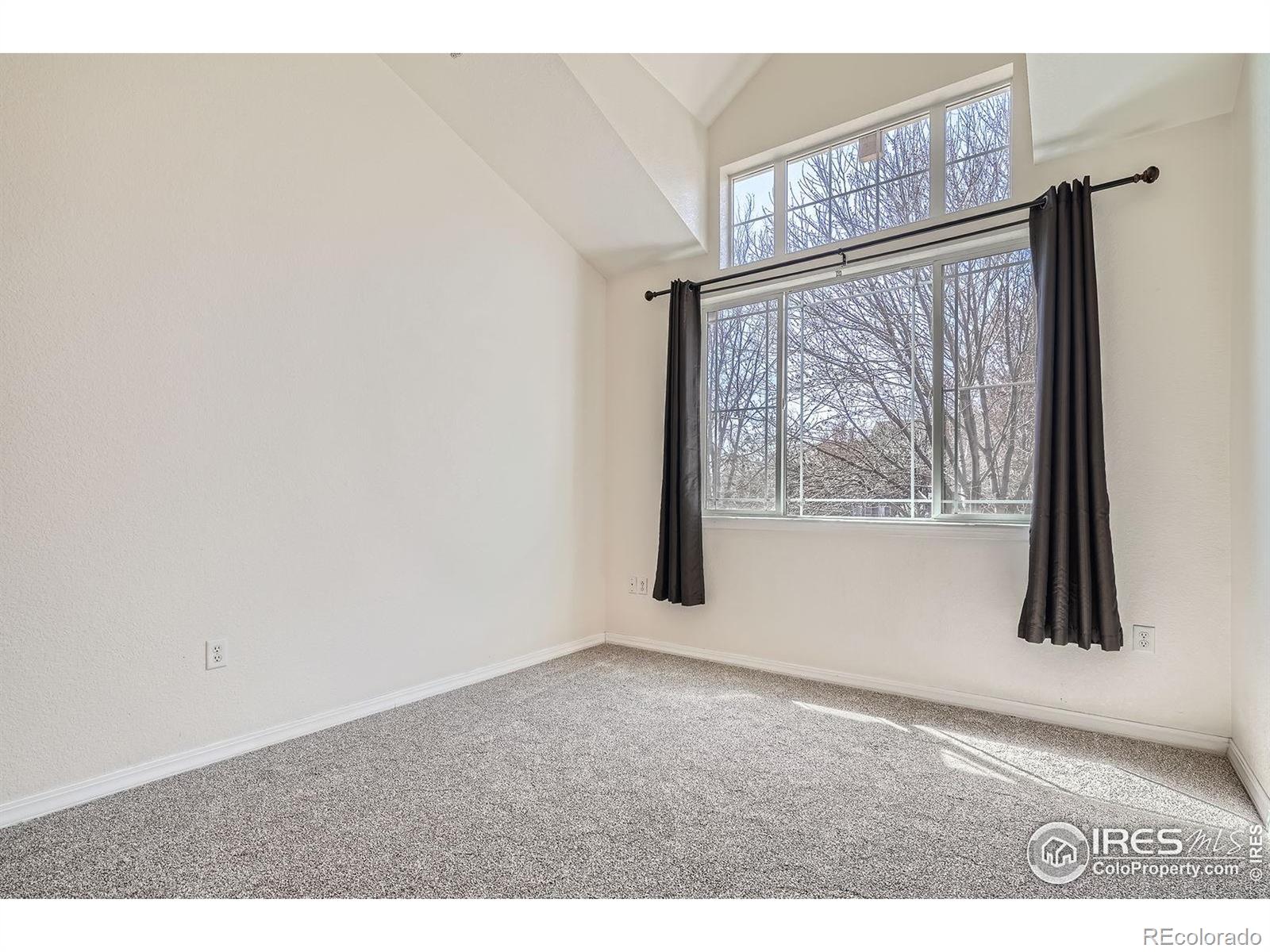 MLS Image #18 for 804  summer hawk drive,longmont, Colorado