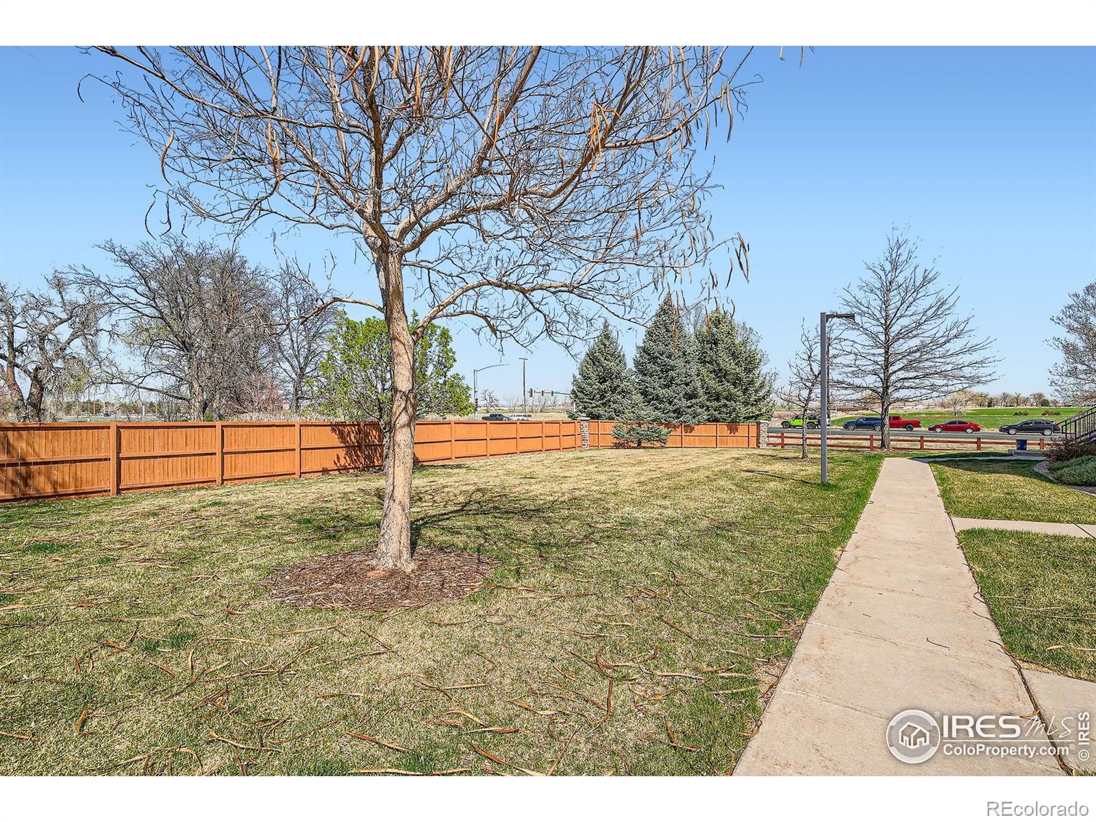 MLS Image #29 for 804  summer hawk drive,longmont, Colorado