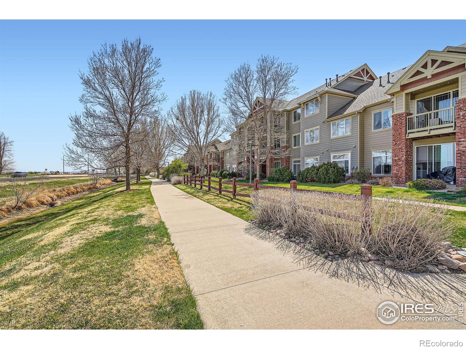 MLS Image #30 for 804  summer hawk drive,longmont, Colorado