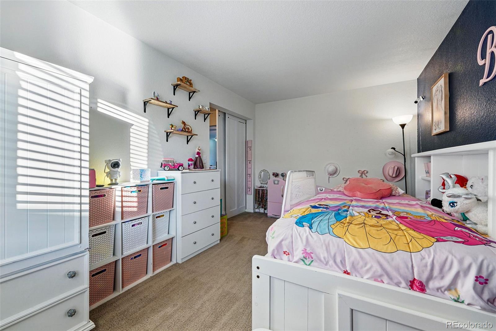 MLS Image #27 for 4705  andes street,denver, Colorado
