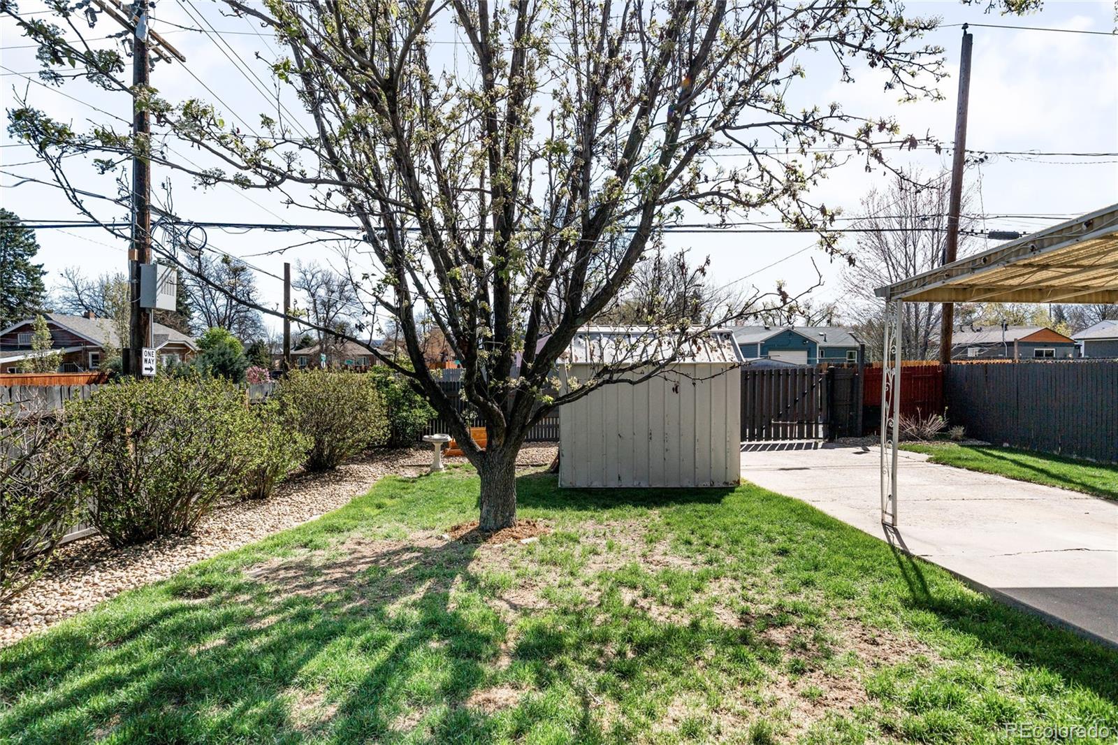 MLS Image #24 for 1380  roslyn street,denver, Colorado