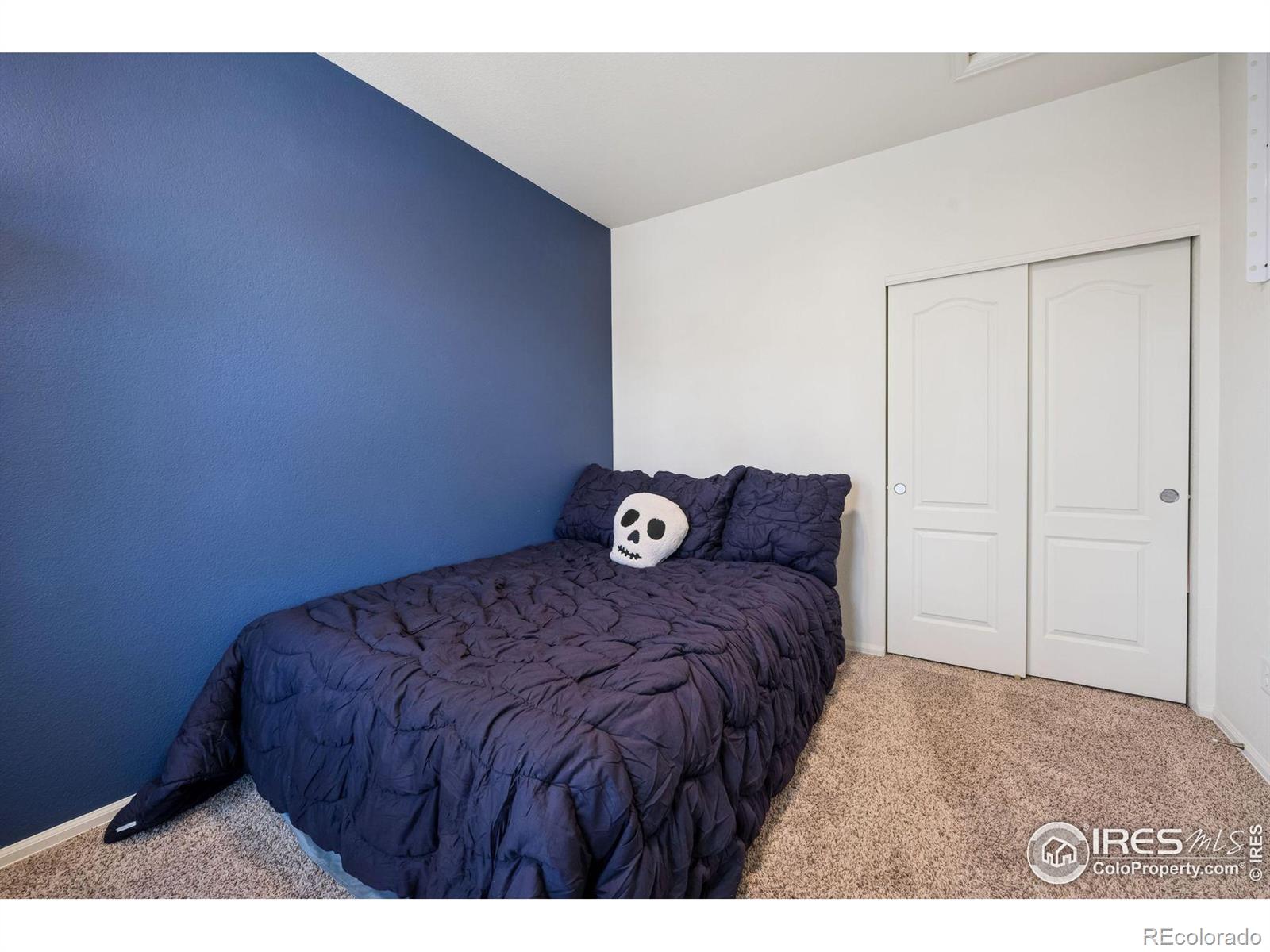 MLS Image #15 for 1865  trevor circle,longmont, Colorado