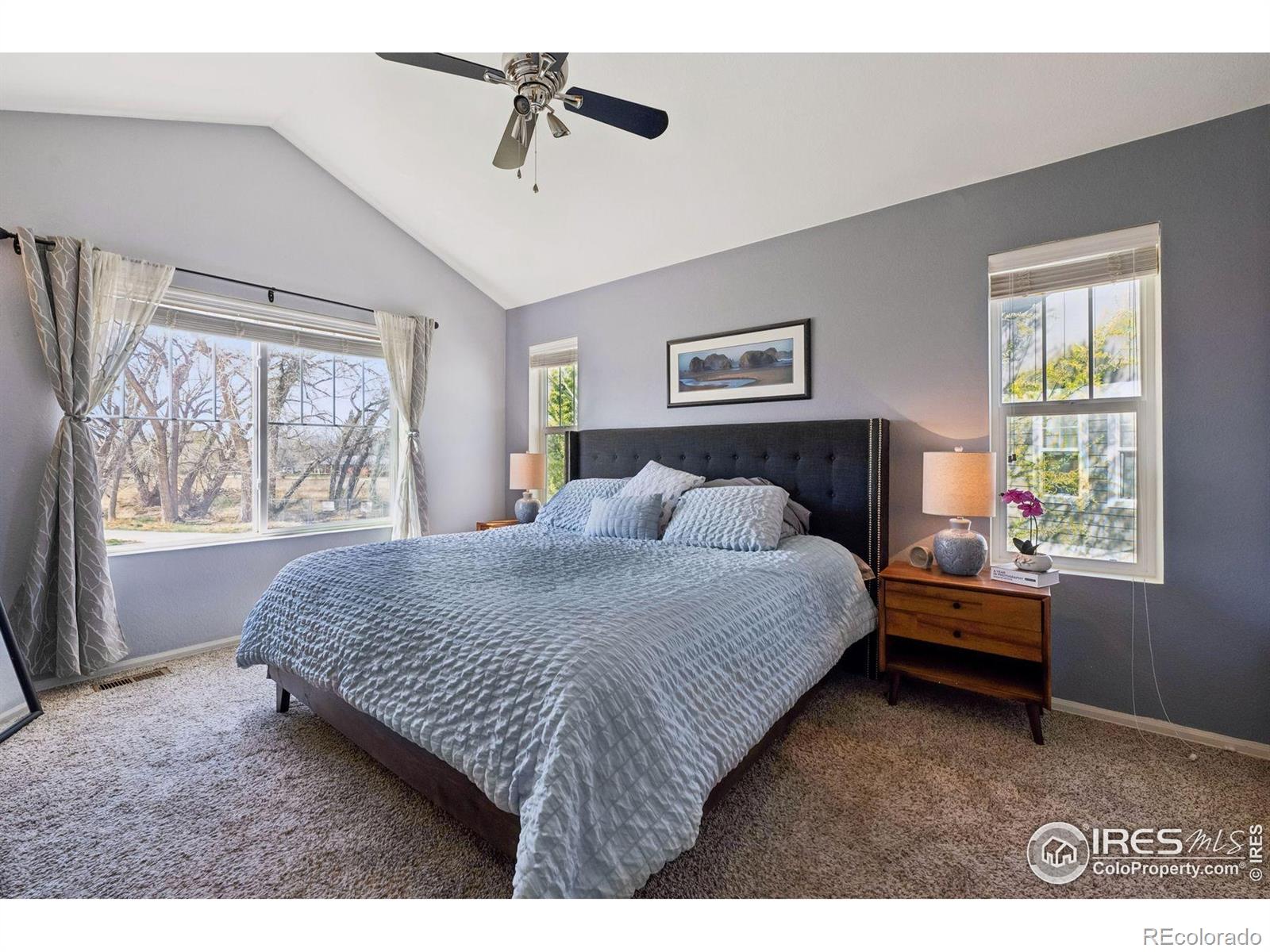 MLS Image #16 for 1865  trevor circle,longmont, Colorado