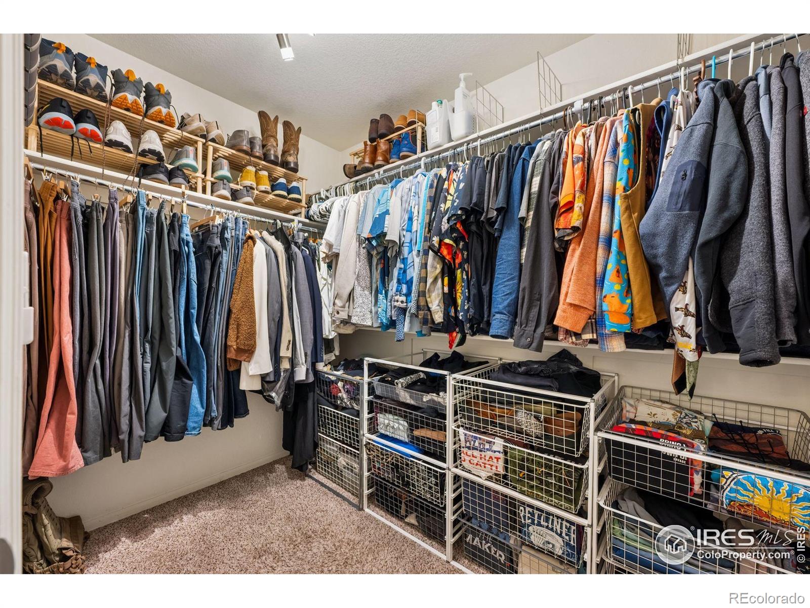 MLS Image #19 for 1865  trevor circle,longmont, Colorado