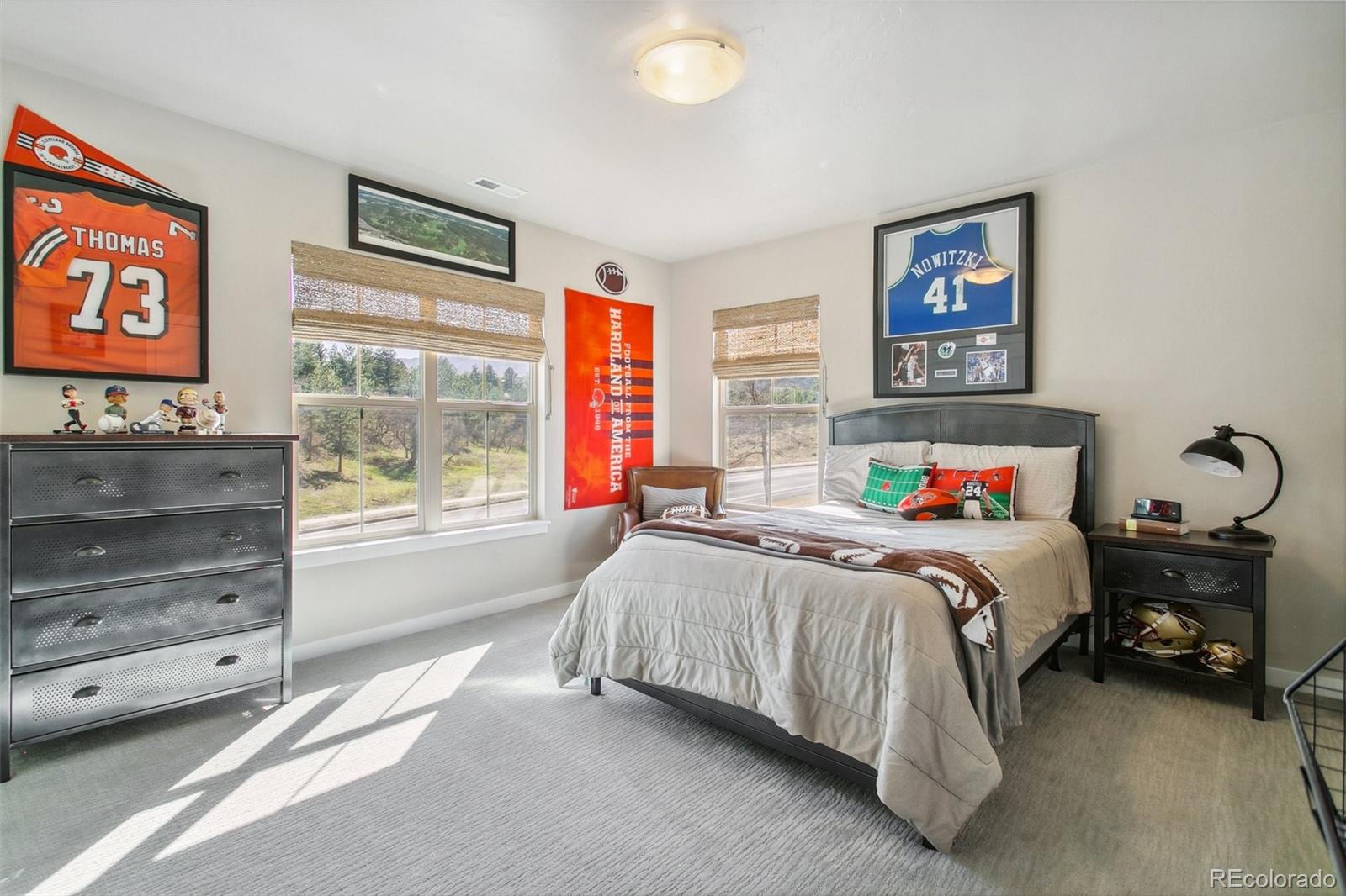 MLS Image #29 for 1819  la bellezza grove,colorado springs, Colorado
