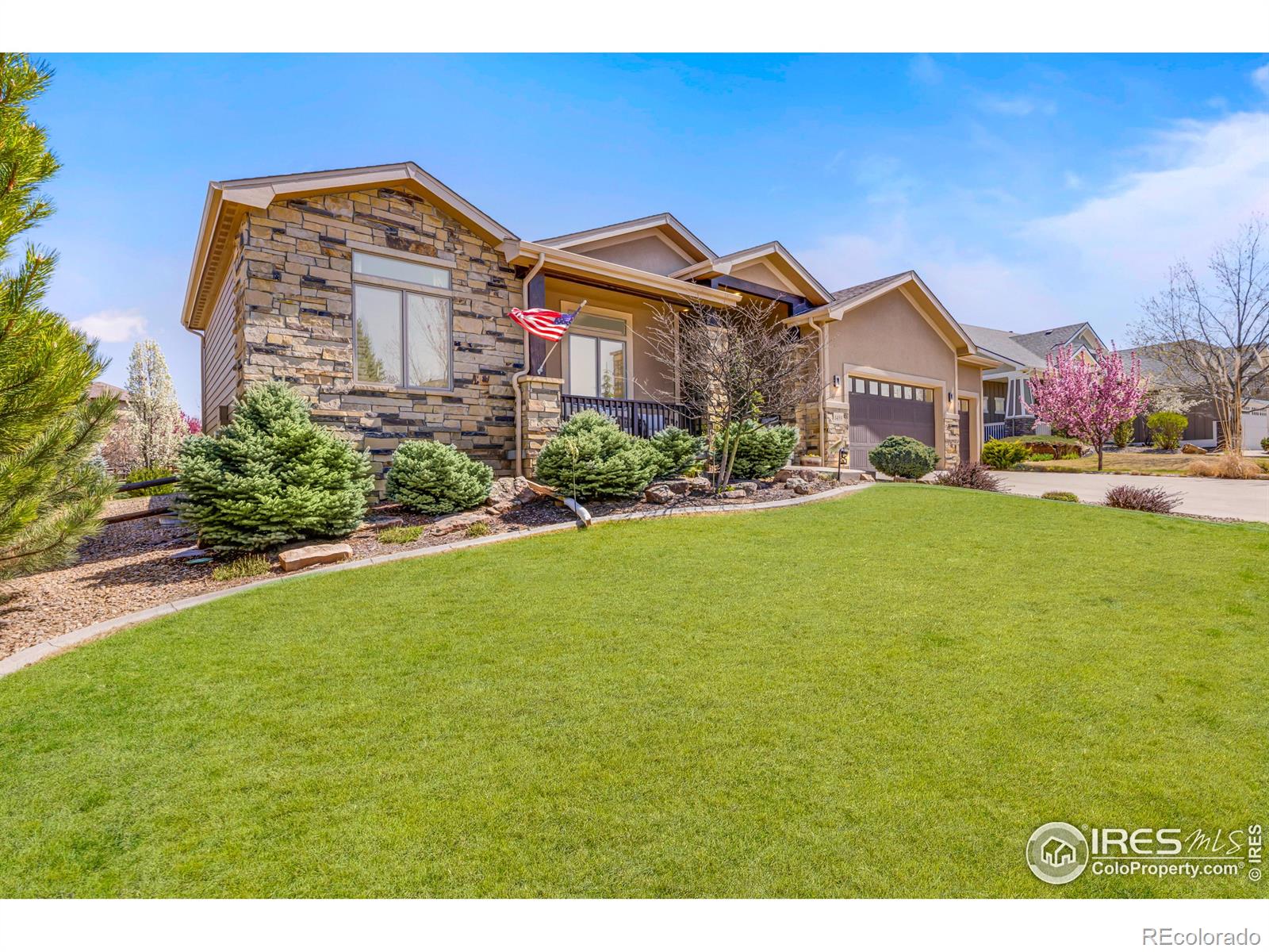 CMA Image for 1455  bison run drive,Windsor, Colorado