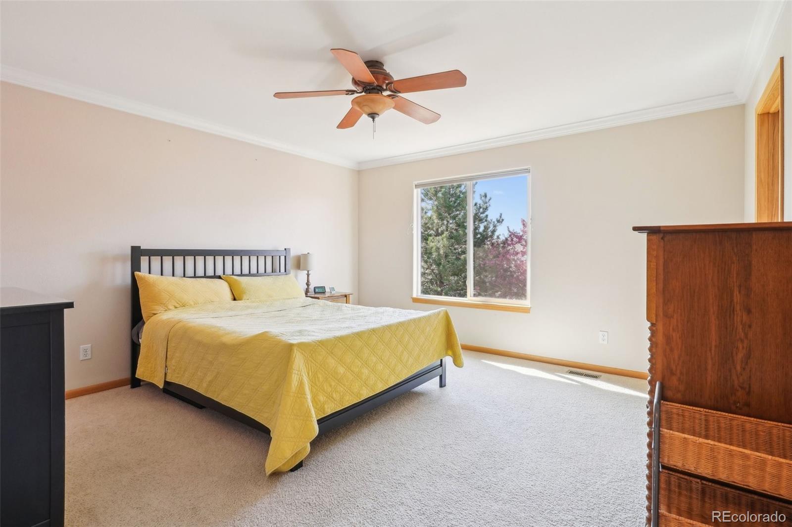 MLS Image #18 for 1821  thyme court,fort collins, Colorado