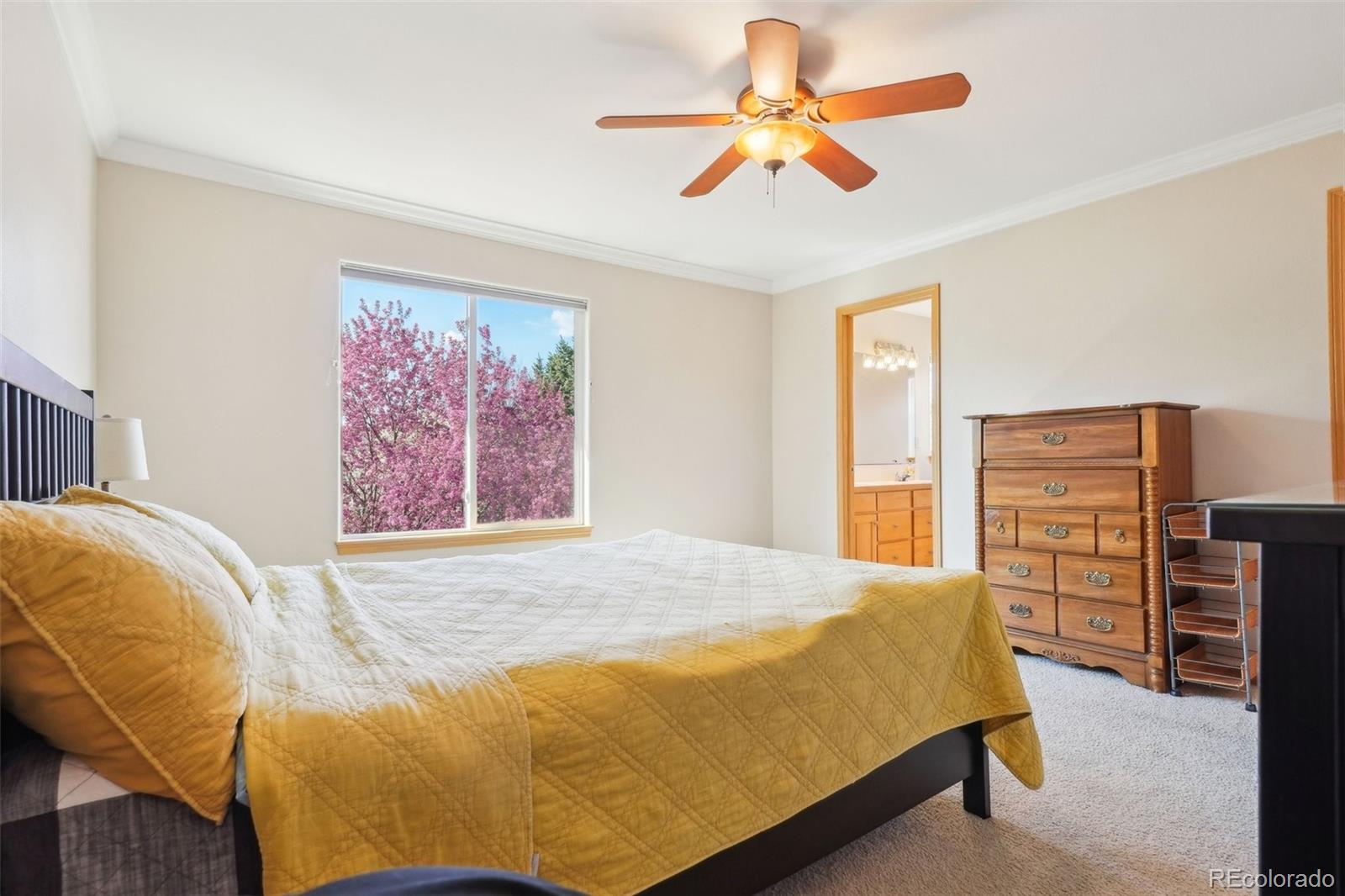 MLS Image #19 for 1821  thyme court,fort collins, Colorado