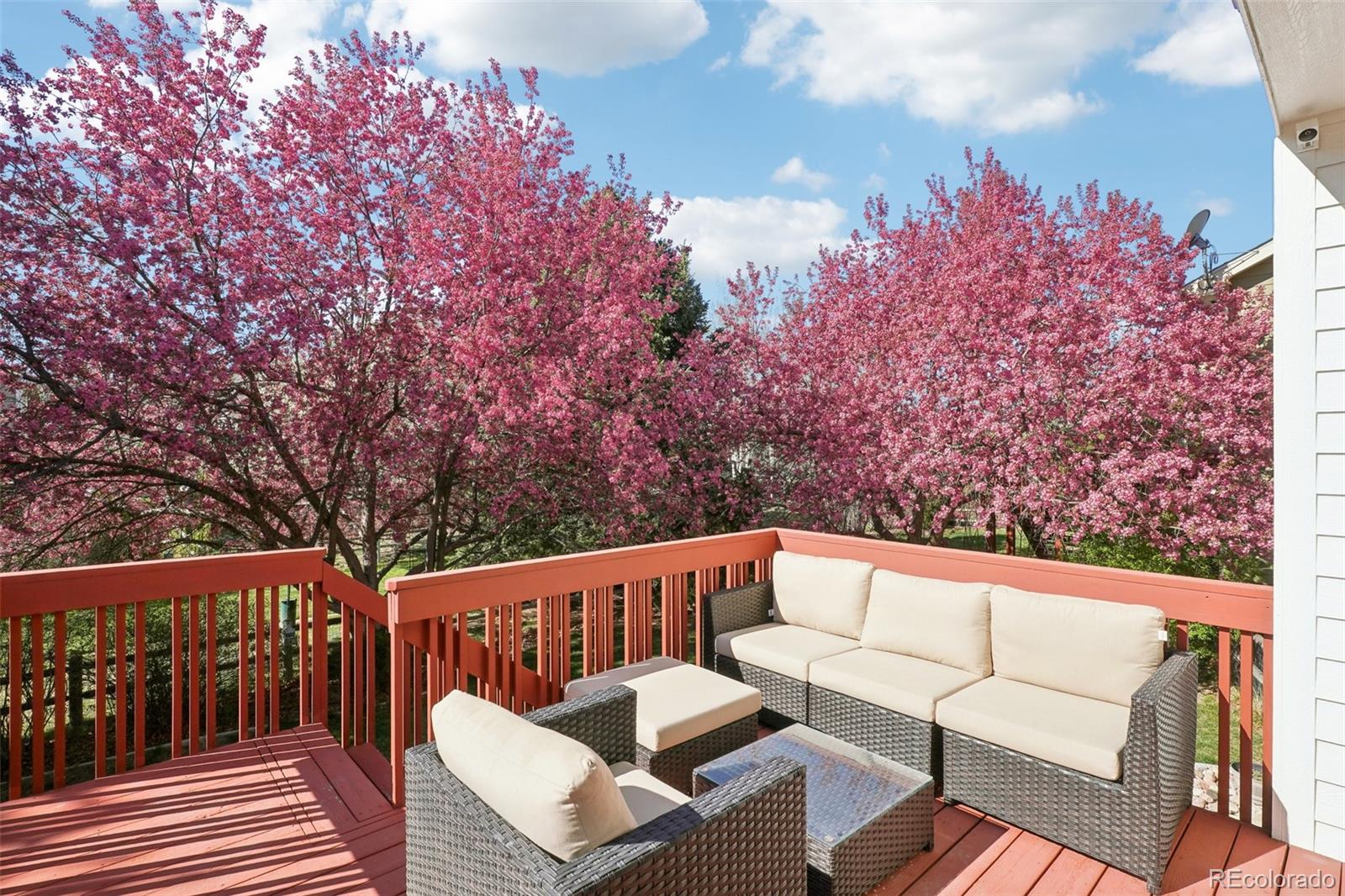MLS Image #31 for 1821  thyme court,fort collins, Colorado