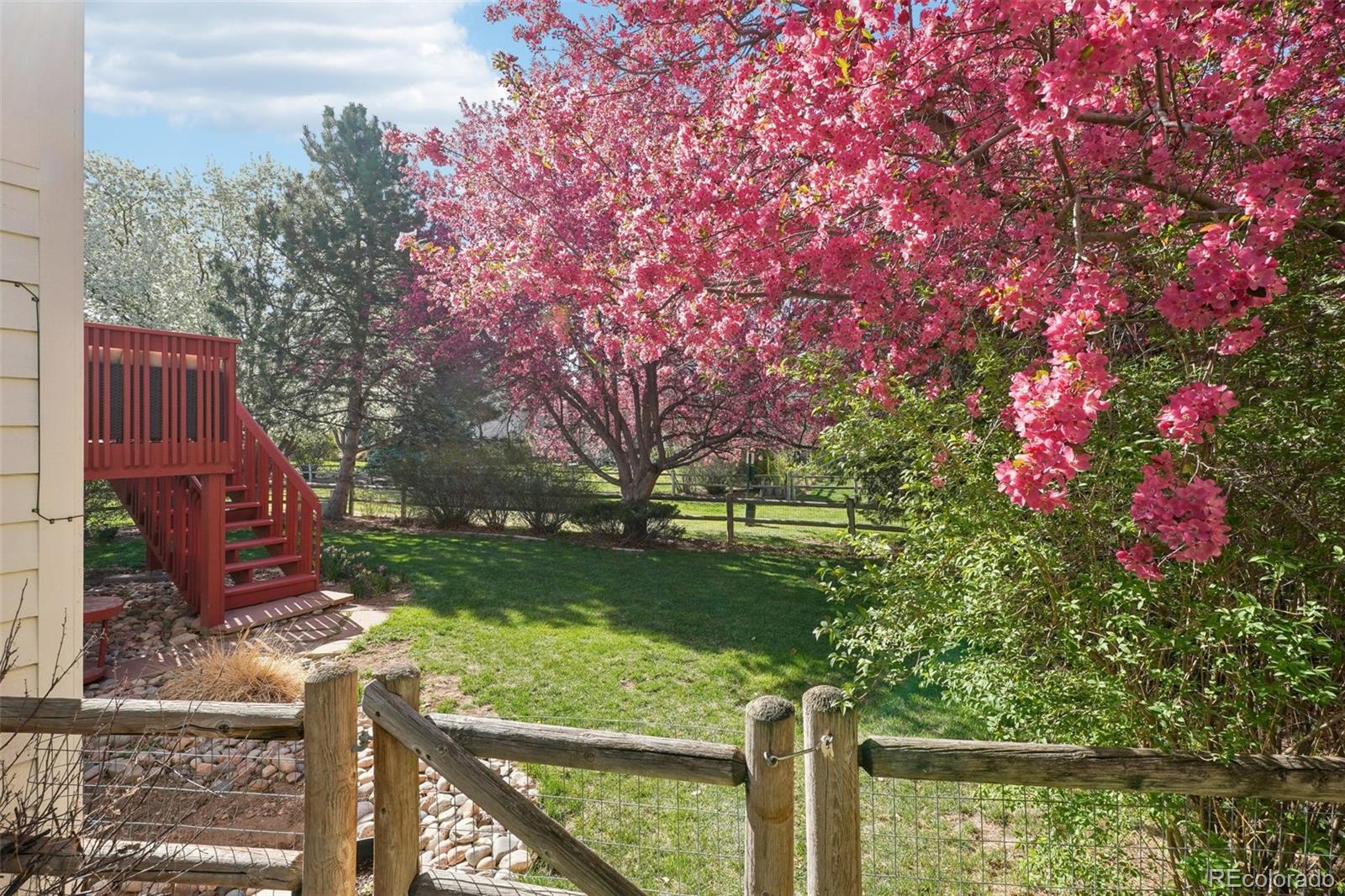 MLS Image #35 for 1821  thyme court,fort collins, Colorado