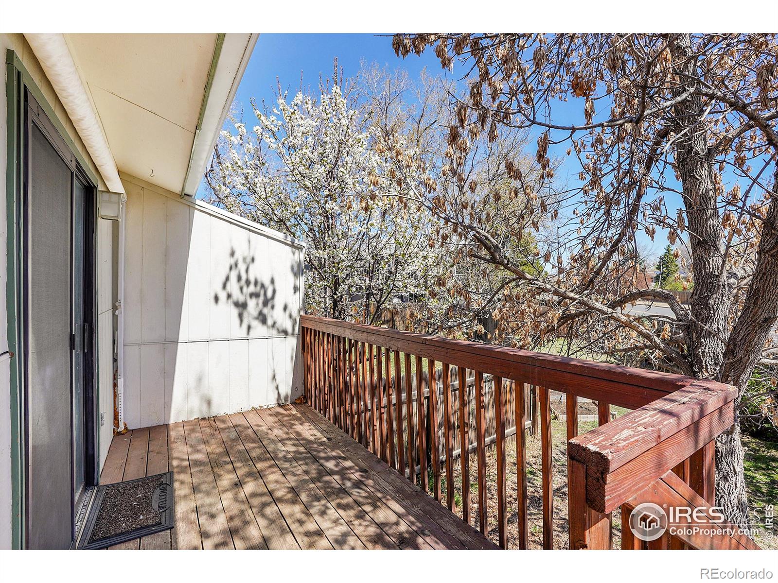 MLS Image #25 for 1209  centaur circle,lafayette, Colorado