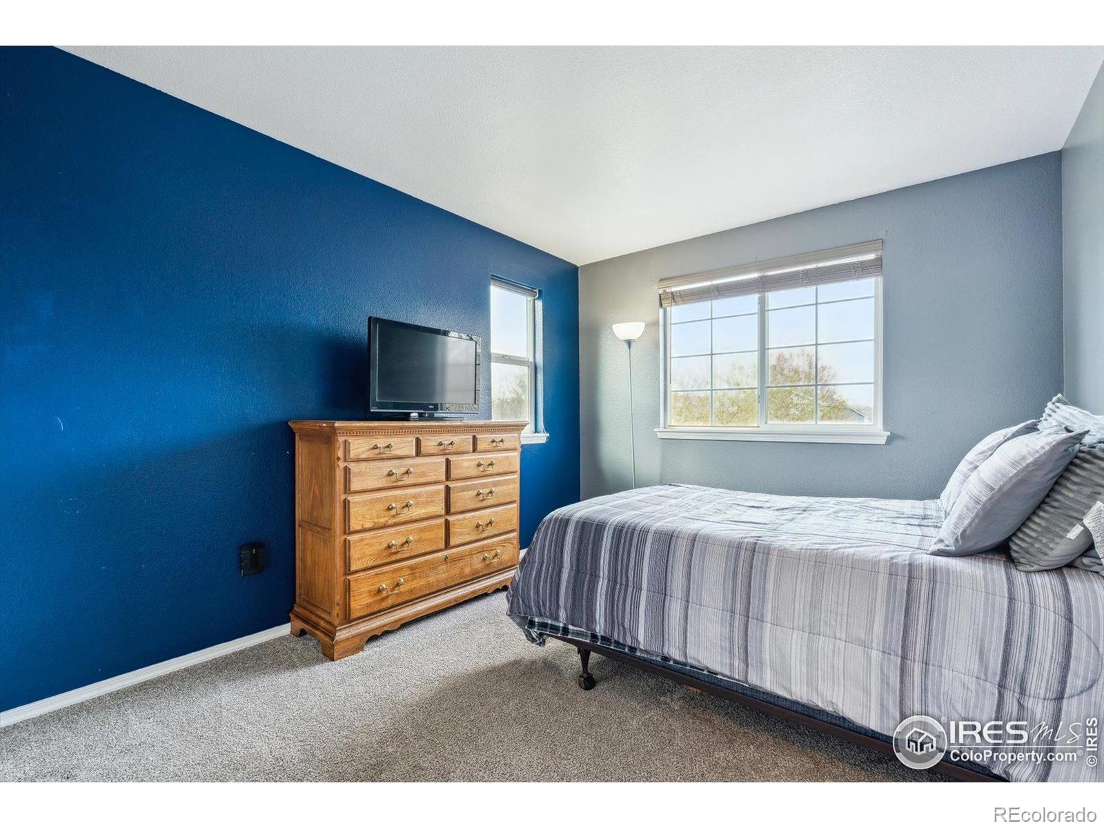 MLS Image #15 for 6774  st vrain ranch boulevard,firestone, Colorado
