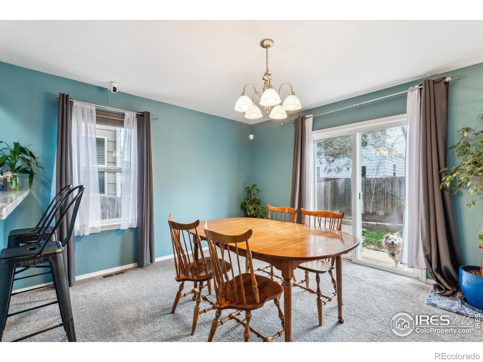 MLS Image #6 for 6774  st vrain ranch boulevard,firestone, Colorado