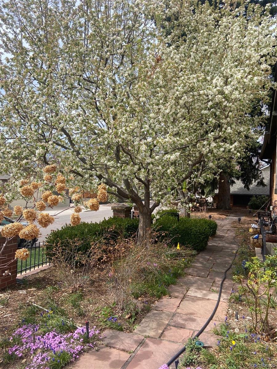 MLS Image #37 for 789 s gaylord street,denver, Colorado