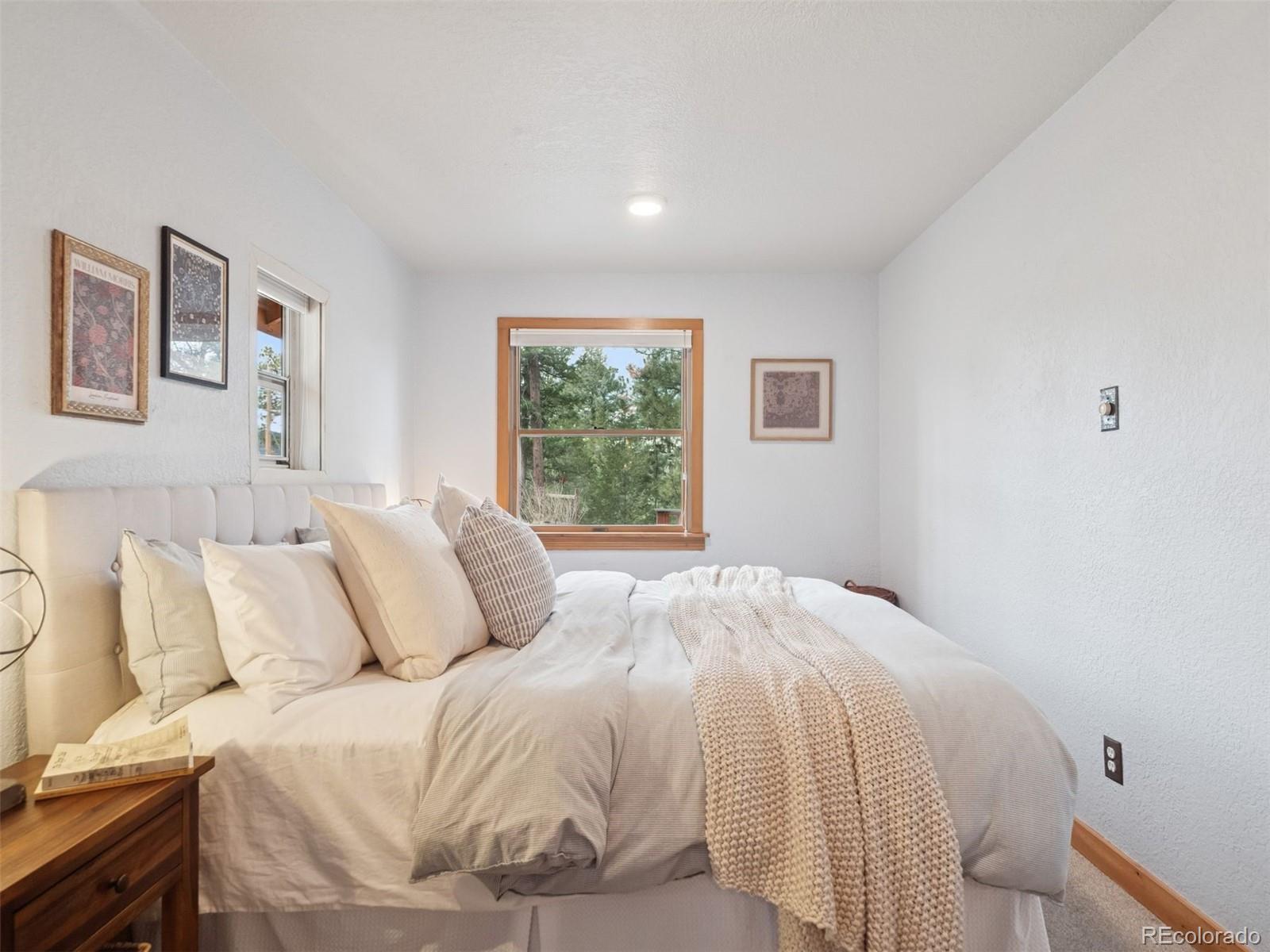 MLS Image #24 for 27905  mariposa road,evergreen, Colorado