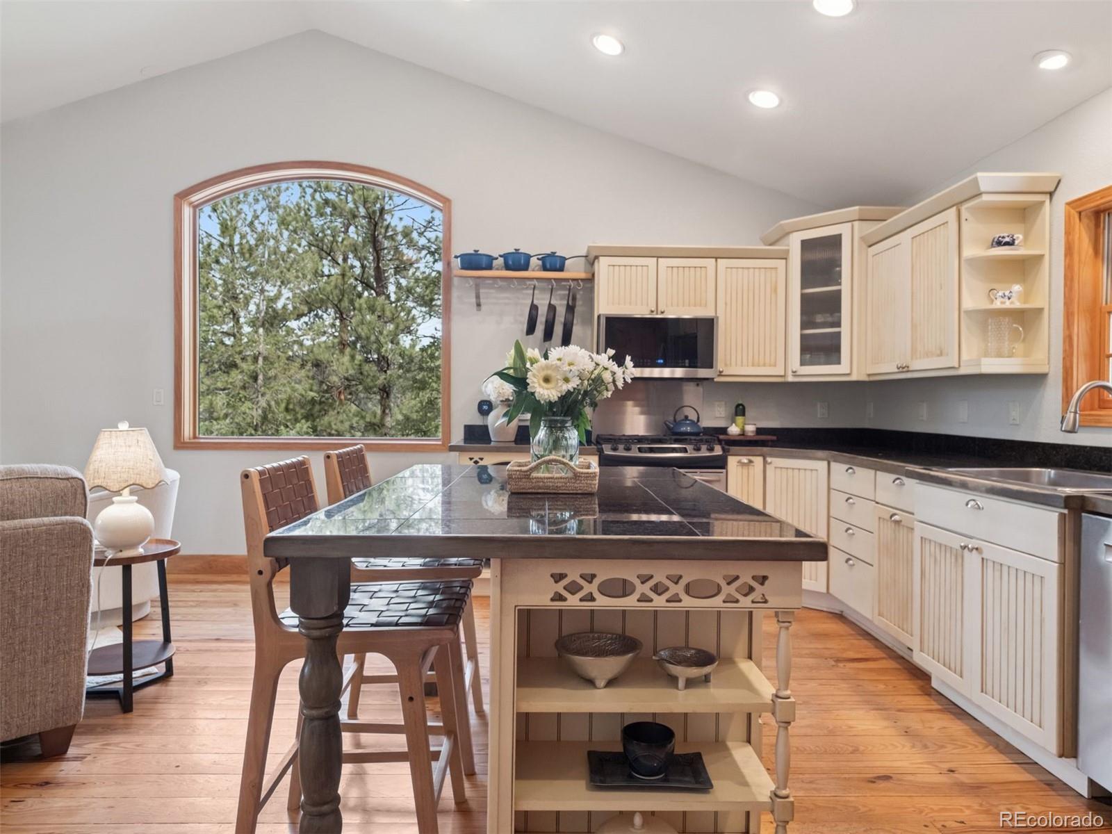 MLS Image #3 for 27905  mariposa road,evergreen, Colorado