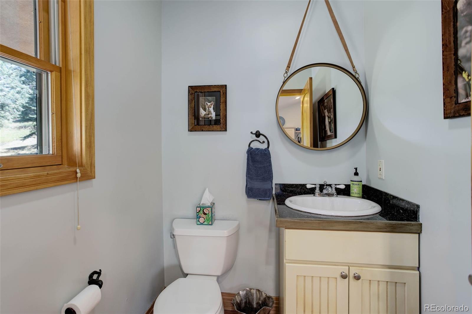 MLS Image #9 for 27905  mariposa road,evergreen, Colorado