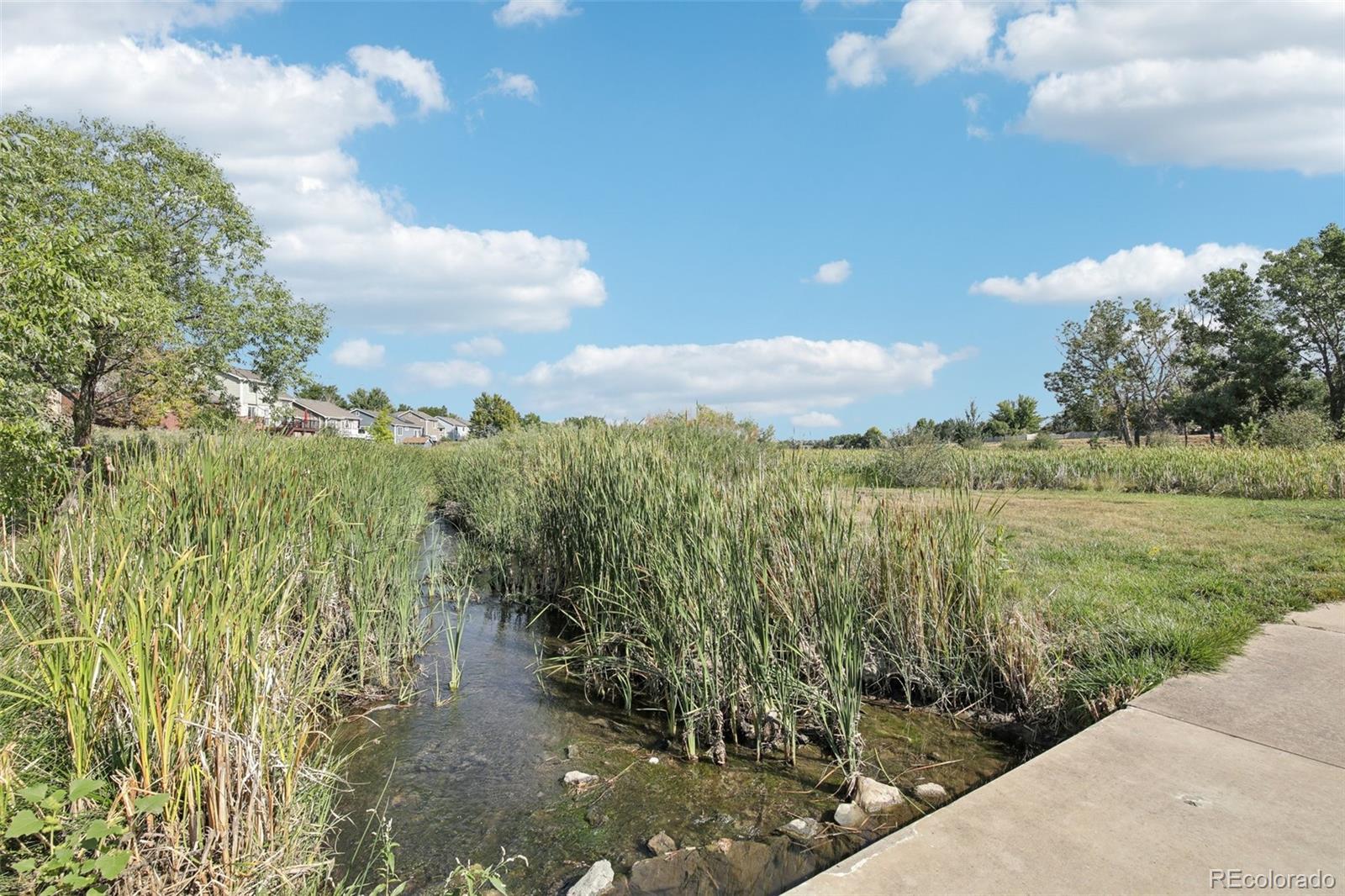 MLS Image #41 for 3982 s himalaya way,aurora, Colorado