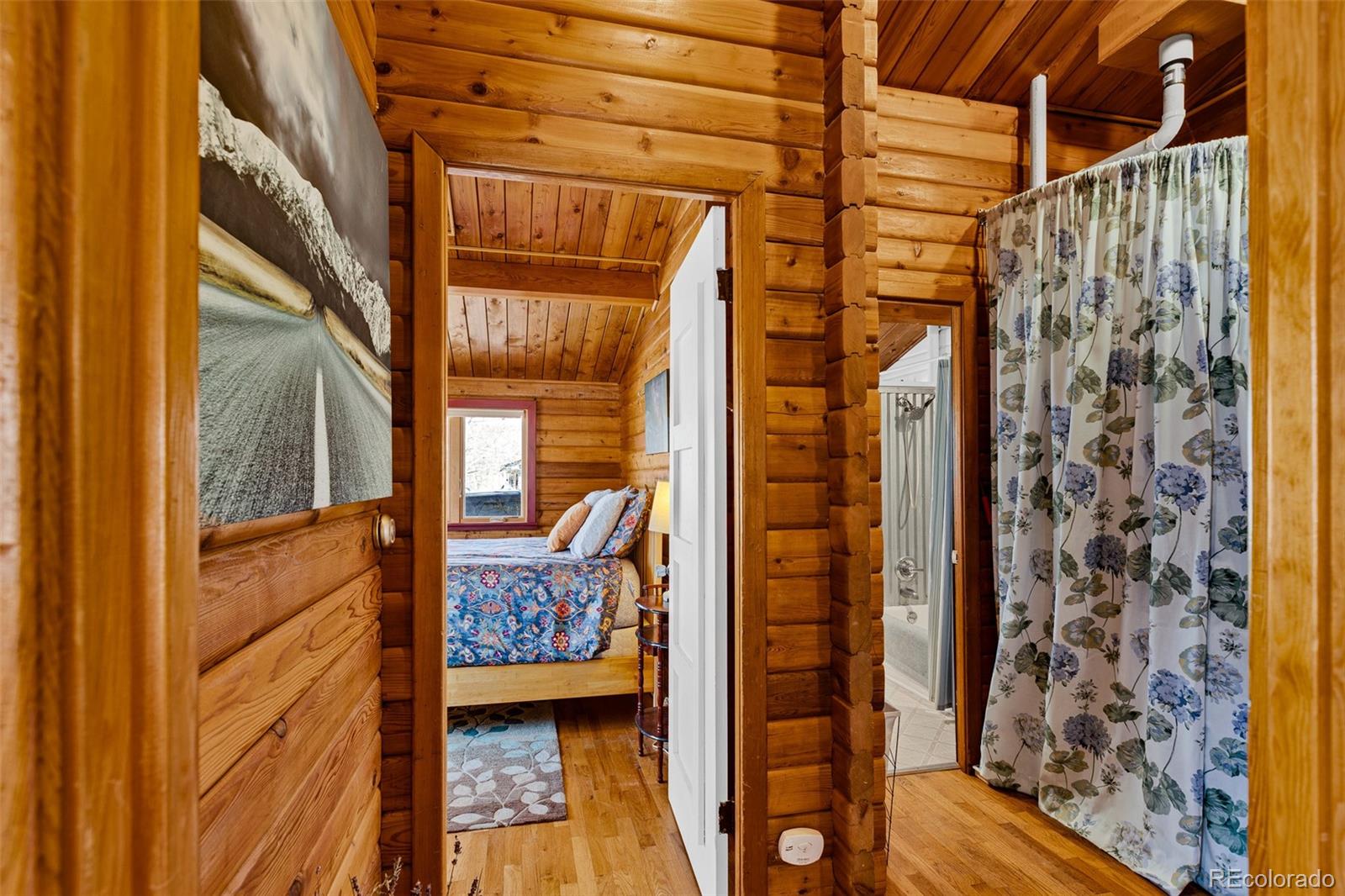 MLS Image #14 for 604  silverheels circle,fairplay, Colorado