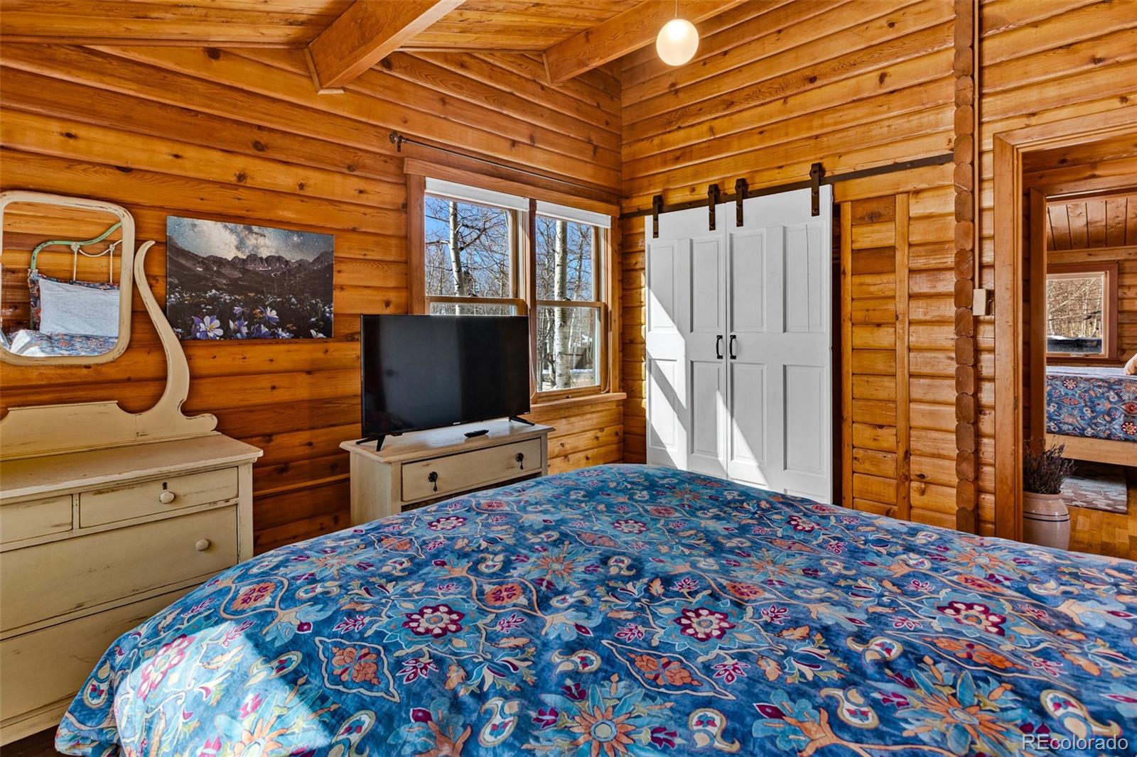 MLS Image #15 for 604  silverheels circle,fairplay, Colorado