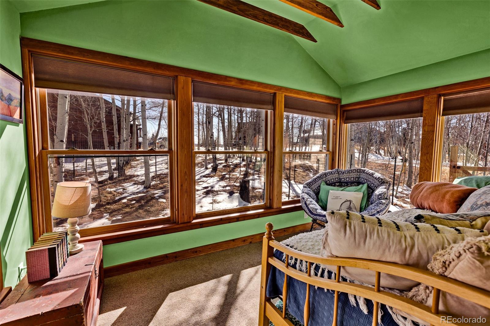 MLS Image #26 for 604  silverheels circle,fairplay, Colorado
