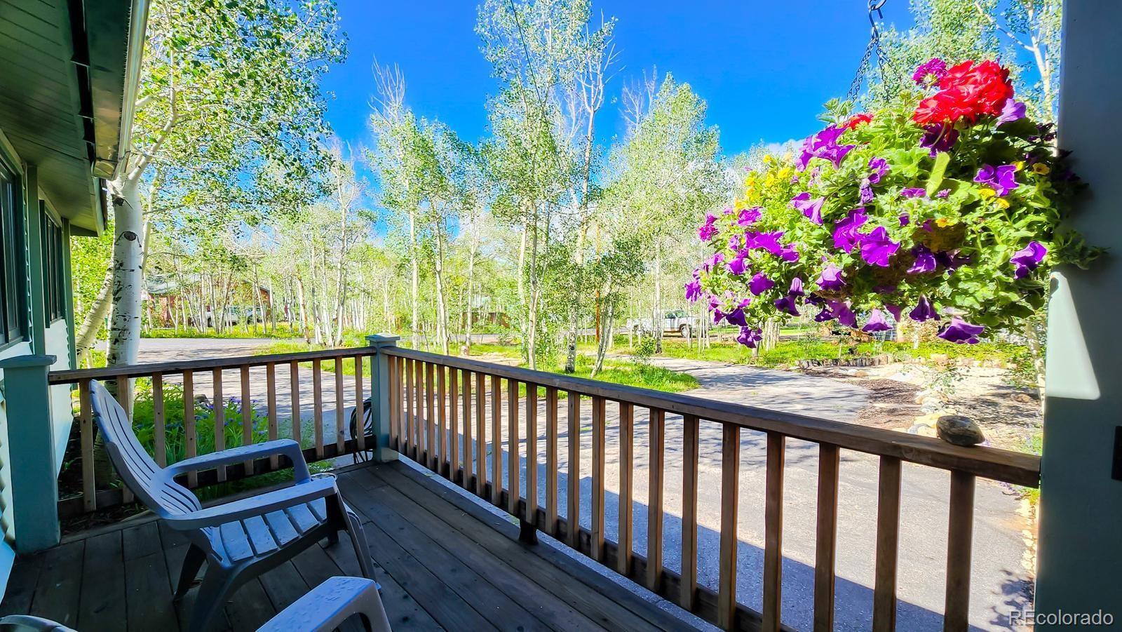 MLS Image #27 for 604  silverheels circle,fairplay, Colorado