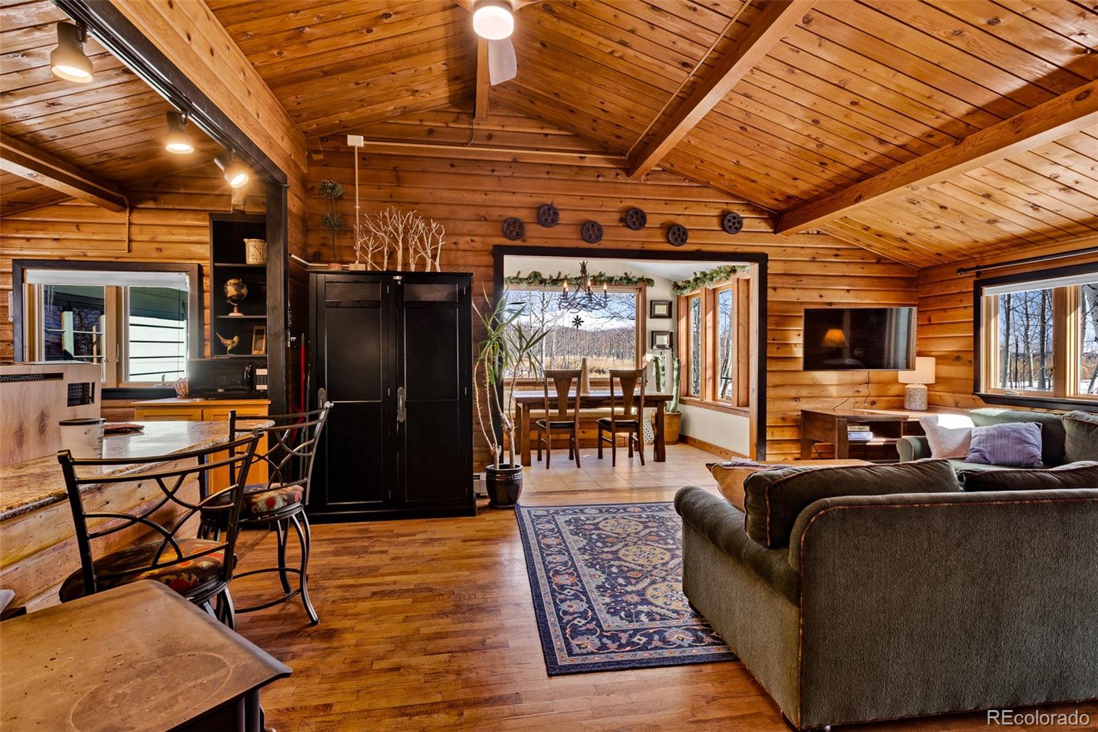 MLS Image #4 for 604  silverheels circle,fairplay, Colorado