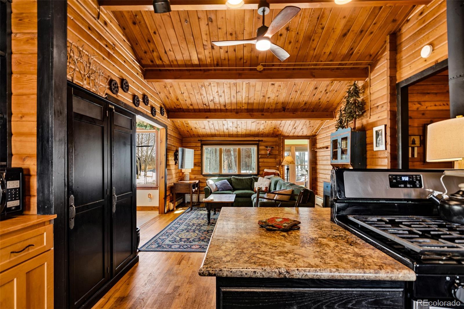 MLS Image #5 for 604  silverheels circle,fairplay, Colorado