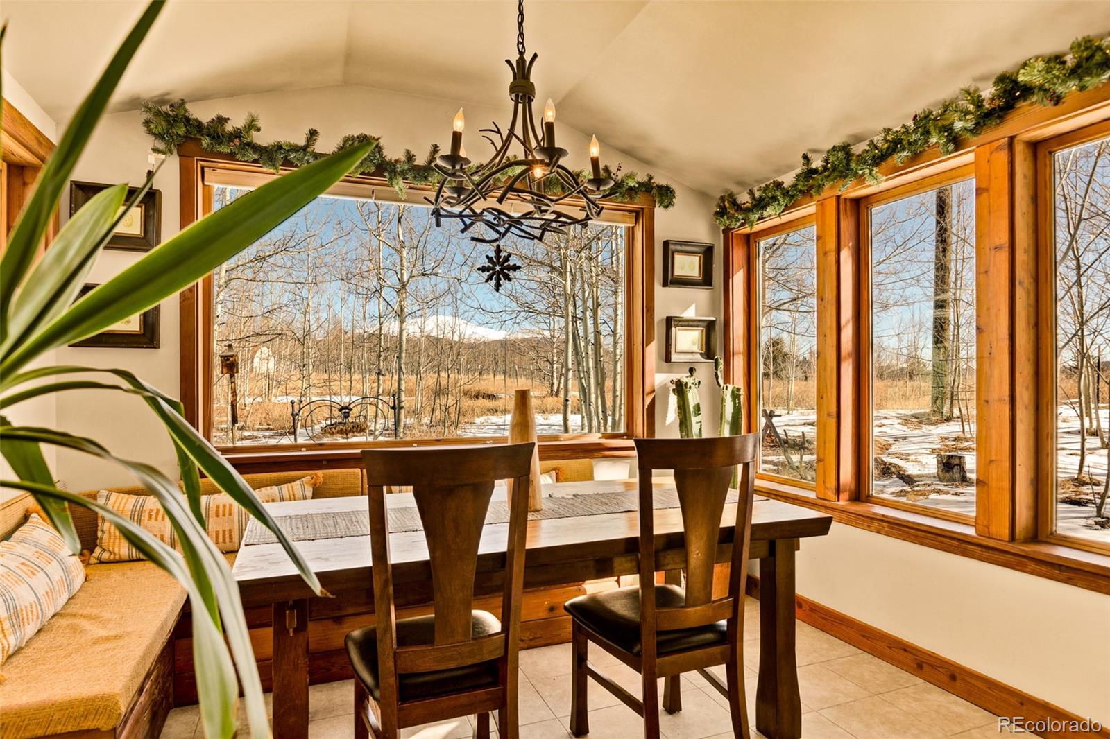 MLS Image #7 for 604  silverheels circle,fairplay, Colorado