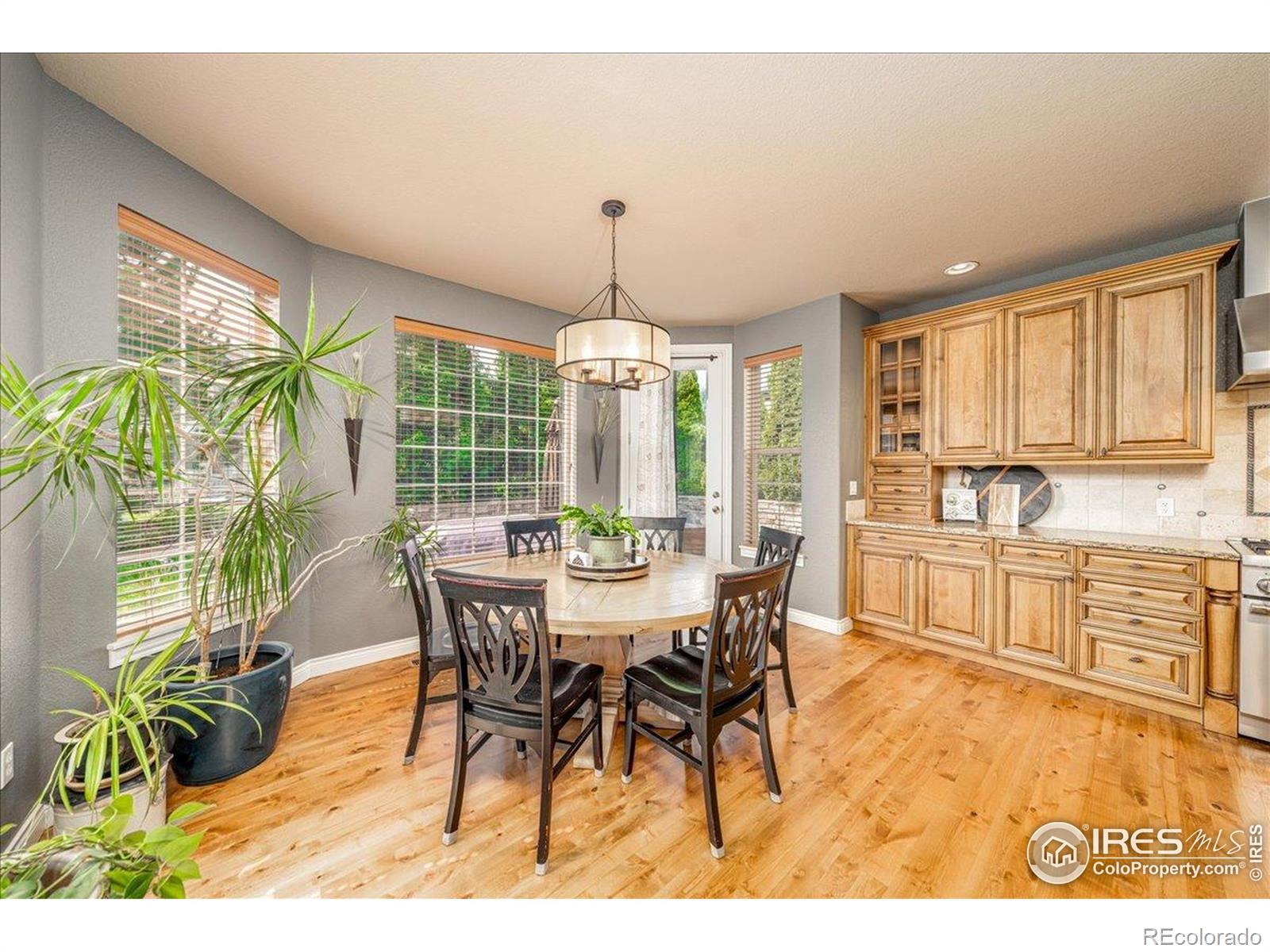 MLS Image #11 for 1521  orion place,longmont, Colorado