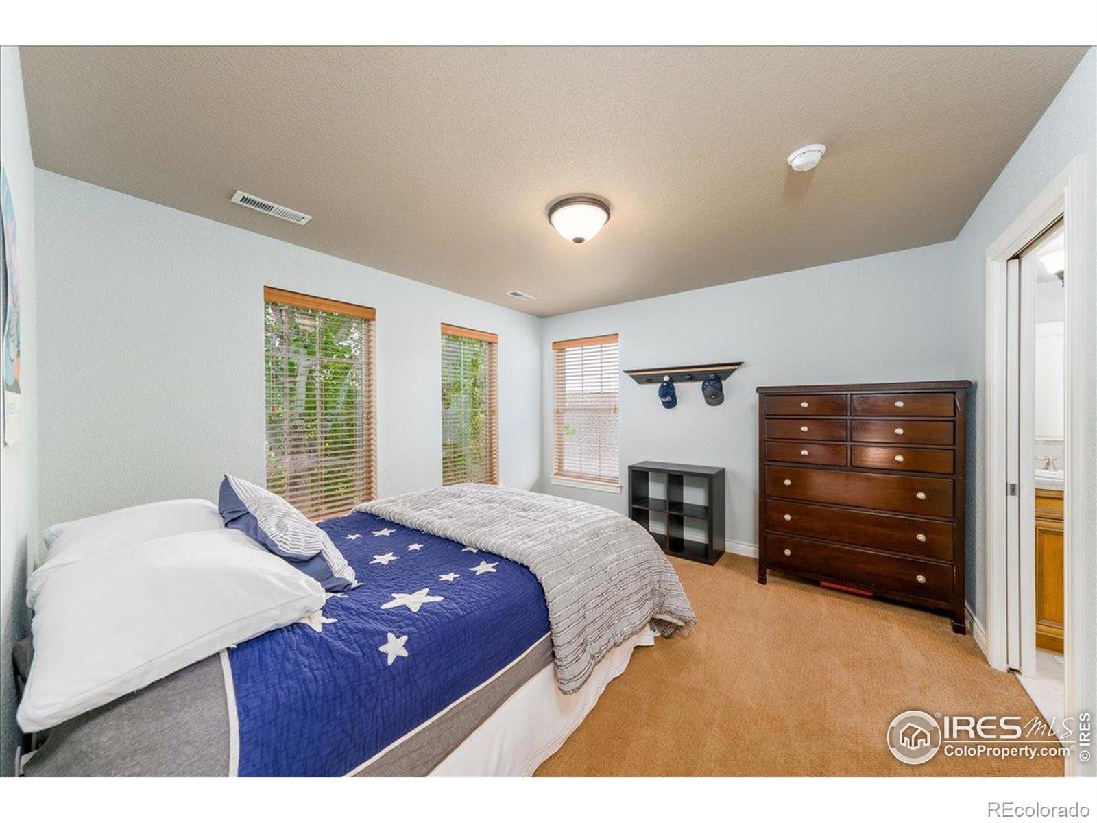MLS Image #20 for 1521  orion place,longmont, Colorado