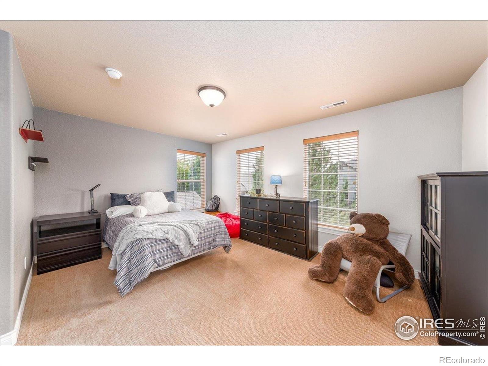 MLS Image #22 for 1521  orion place,longmont, Colorado