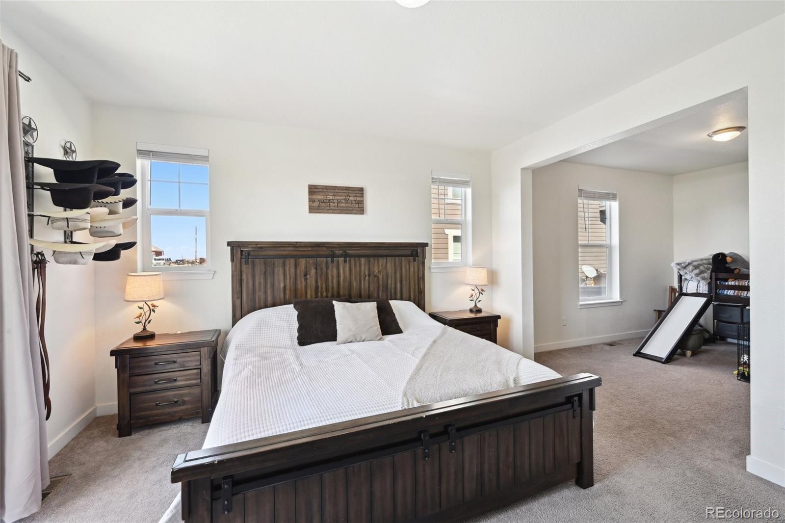 MLS Image #18 for 14419  dahlia street,thornton, Colorado