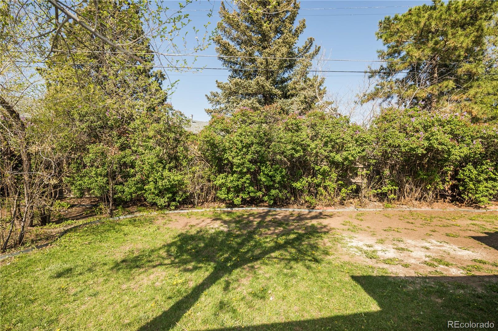 MLS Image #30 for 1395  kline street,lakewood, Colorado