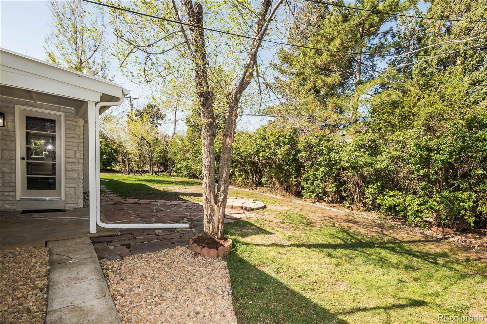 MLS Image #36 for 1395  kline street,lakewood, Colorado