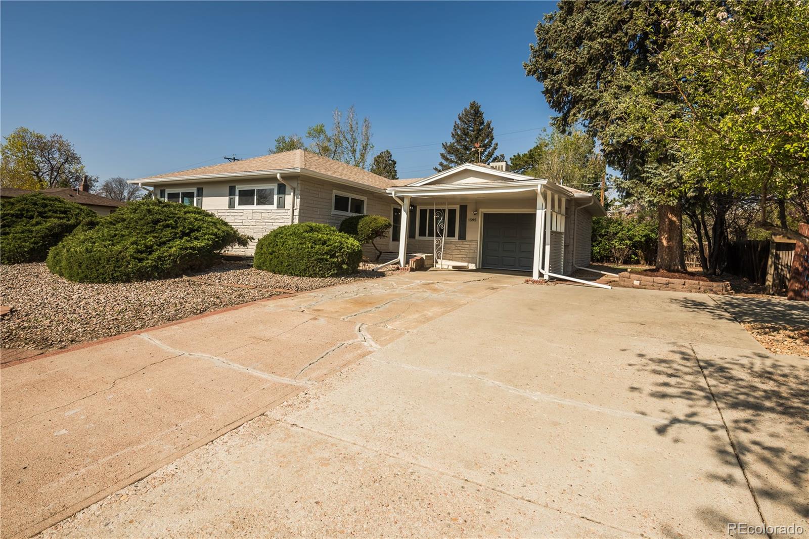 MLS Image #44 for 1395  kline street,lakewood, Colorado