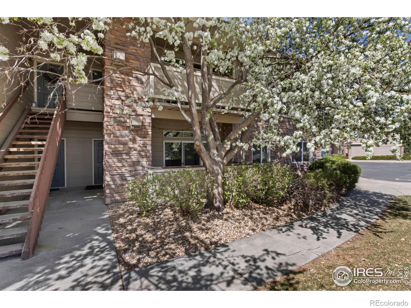 MLS Image #9 for 4545  wheaton drive,fort collins, Colorado