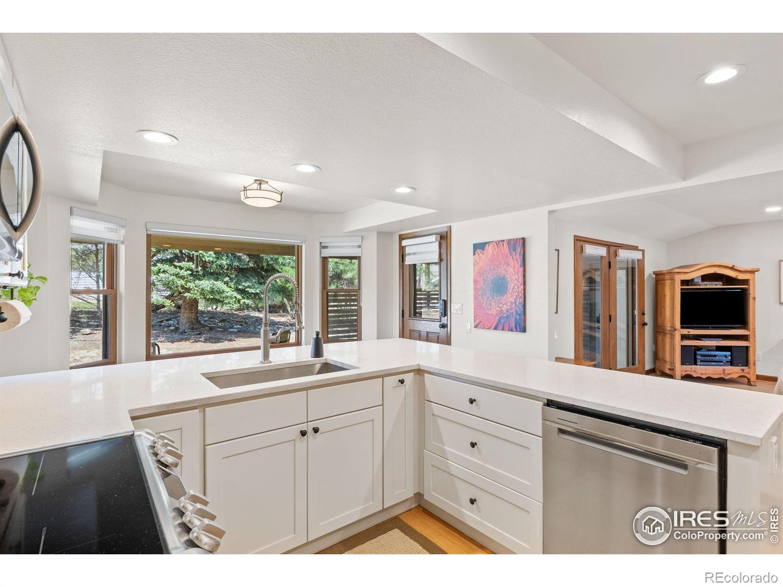 MLS Image #14 for 4207  birdie court,longmont, Colorado