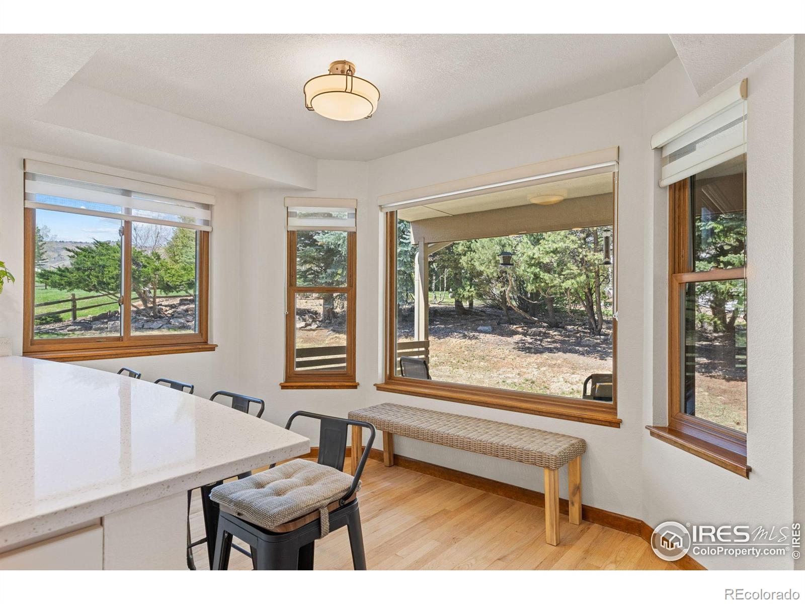 MLS Image #15 for 4207  birdie court,longmont, Colorado