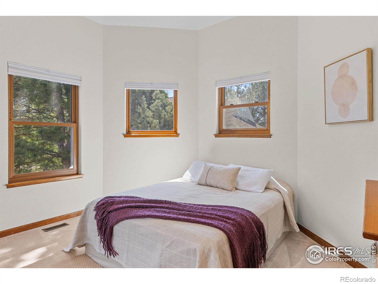 MLS Image #30 for 4207  birdie court,longmont, Colorado