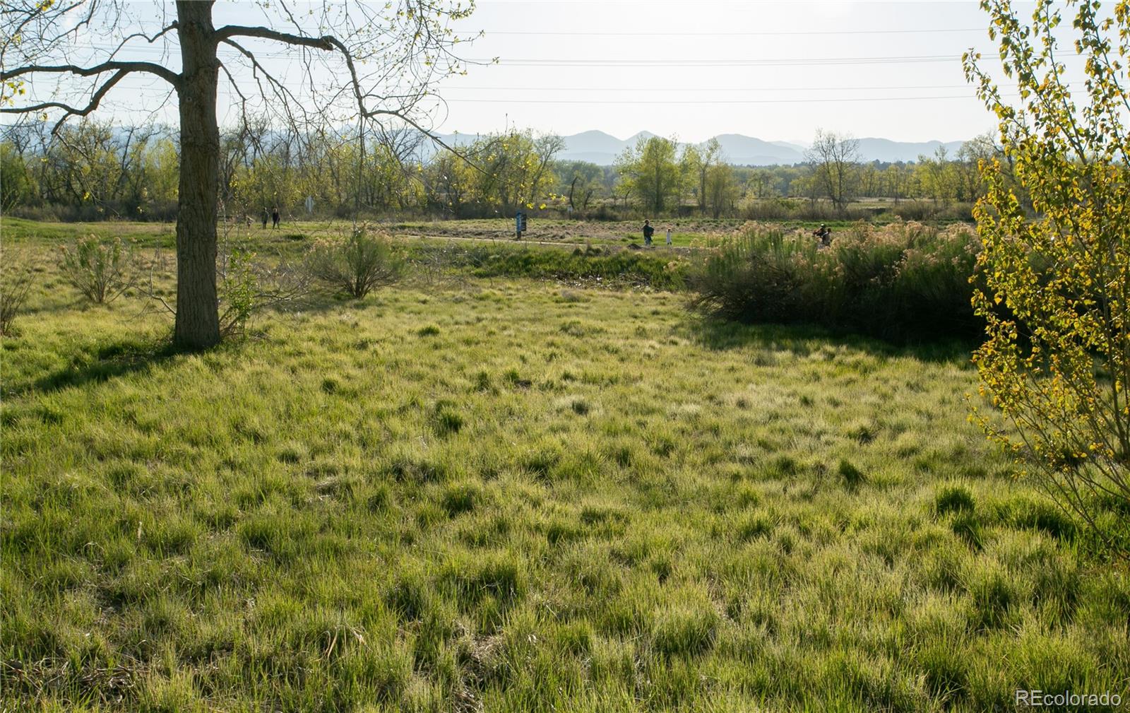 MLS Image #27 for 2901 w rowland avenue ,littleton, Colorado